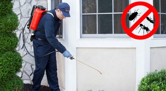 Bozcaada Hamam Böceği İlaçlama böcek ilaçlama ve haşere kontrolü — ilaclama-tr.com